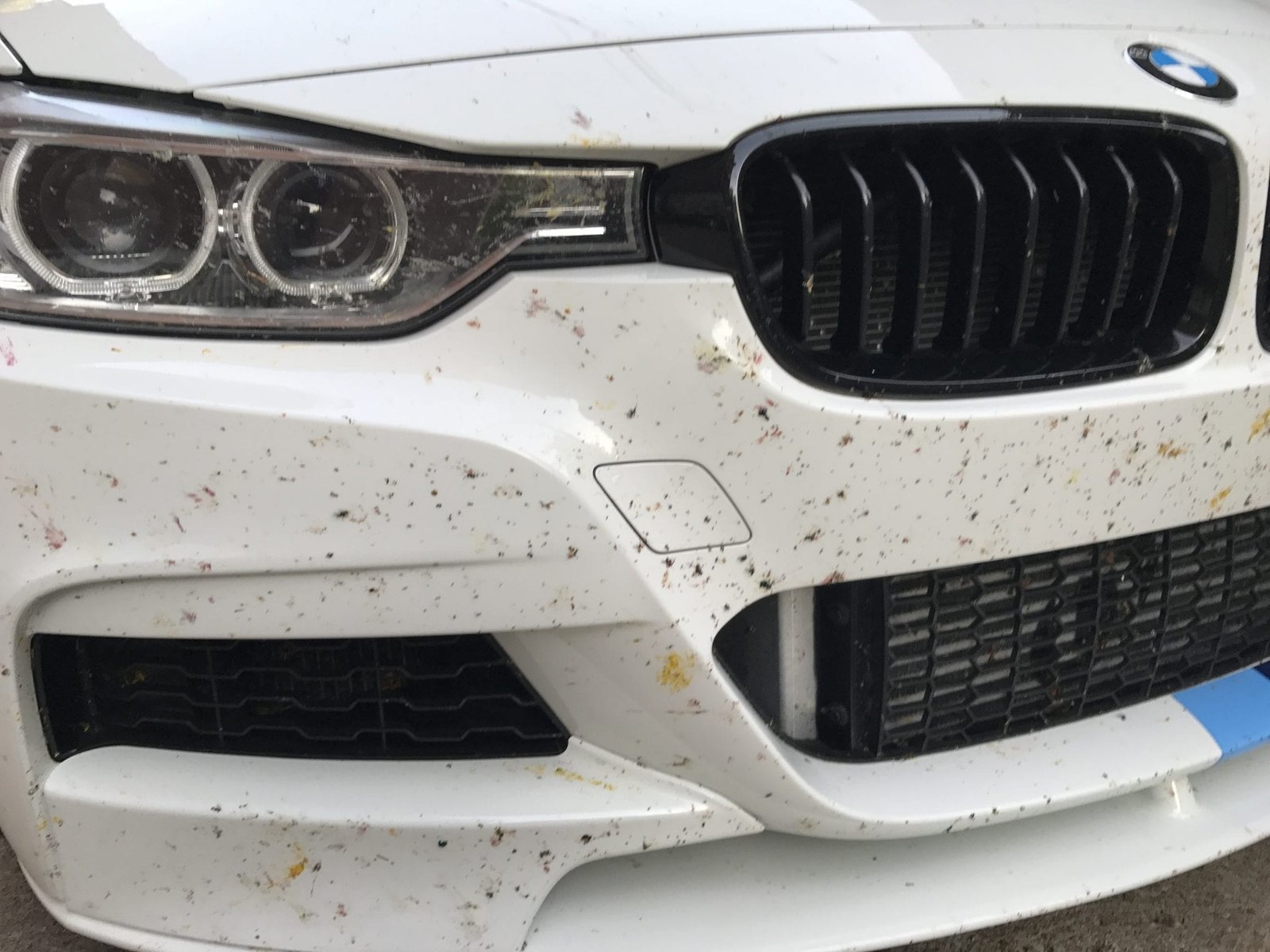 Removing Tar Sap And Bugs Before Winter Hits Onsite Detail