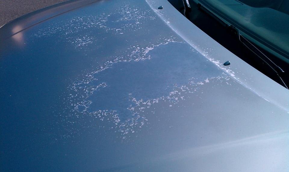 Paint Oxidation and Clear Coat Failure Onsite Detail