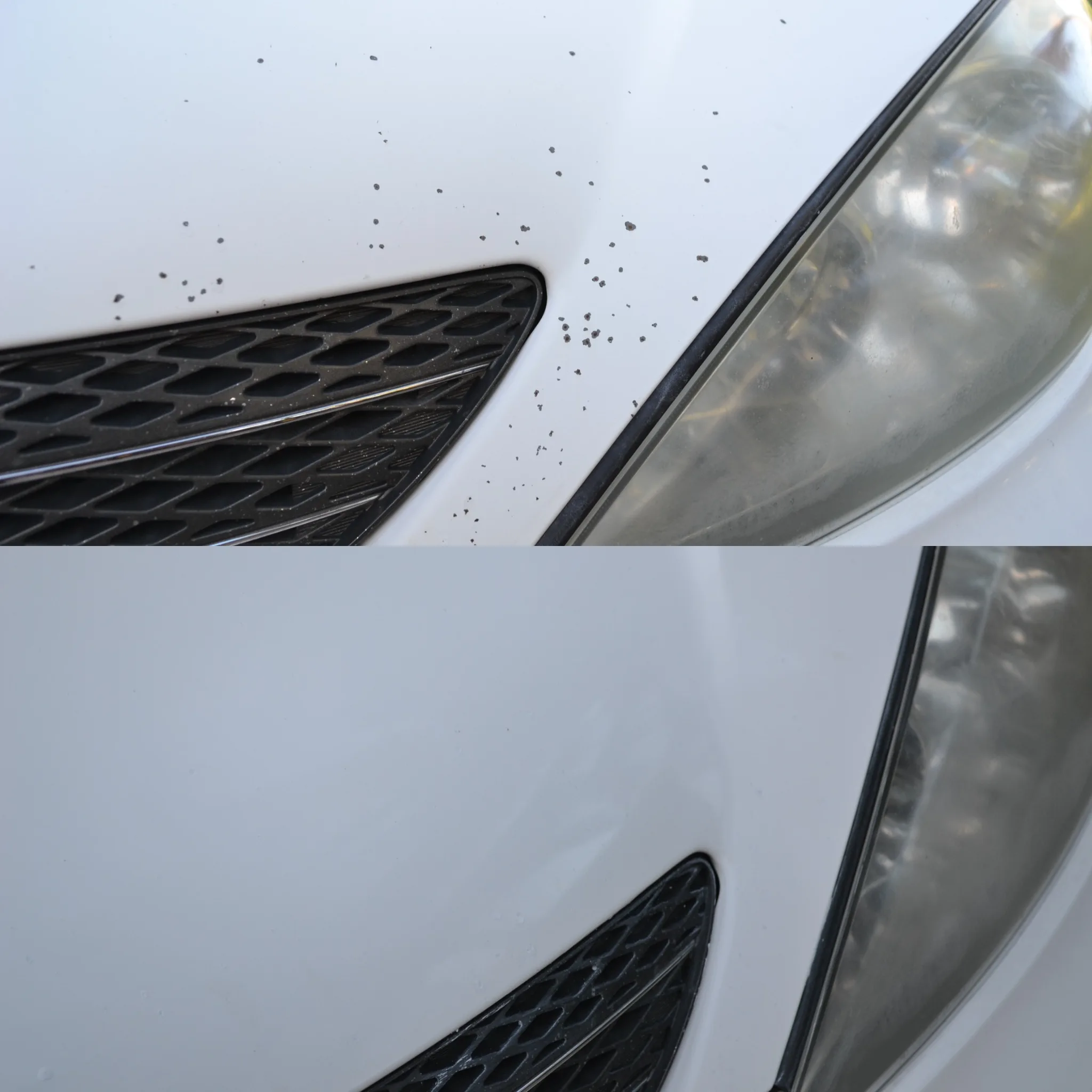 White vehicle front end before and after overspray removal and headlight restoration